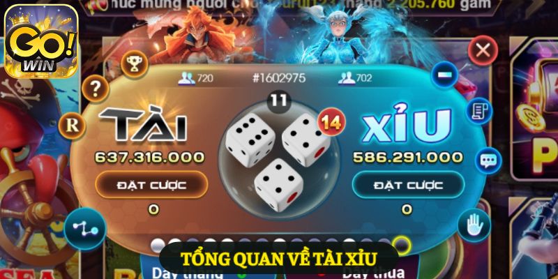 Giới thiệu thông tin chi tiết về Tài Xỉu